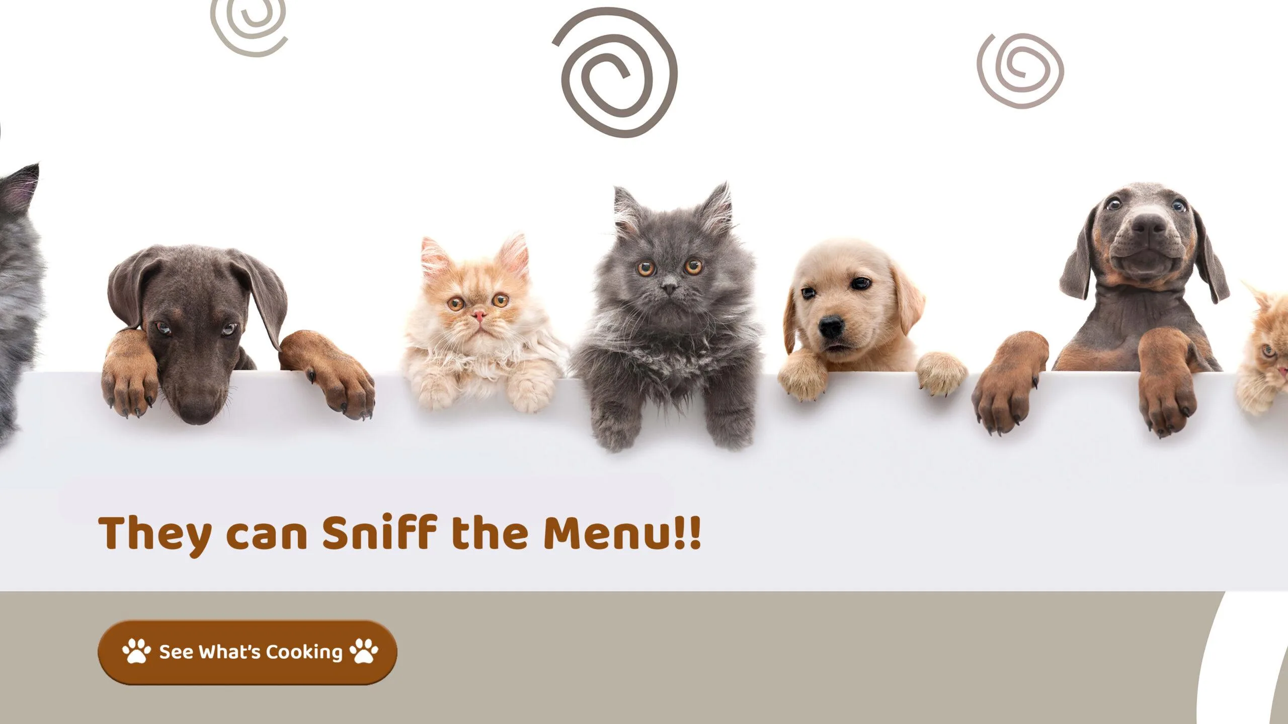 Tail Bazaar Pet Food Banner