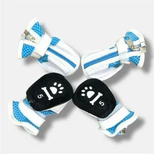 Pet Shoes - Multicolor