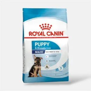 Royal Canin Maxi Puppy